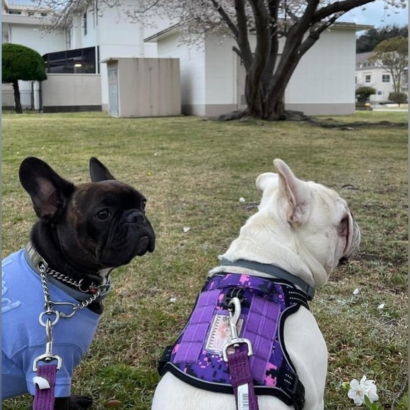 Tiara Miranda - Picture 2 of 4